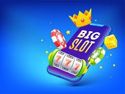 6z bet