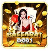 6z bet