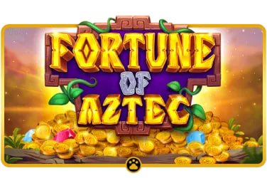 6z bet